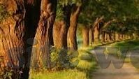 18款禁用软件app糖心ios-探索网络游戏的多样世界，18款非主流软件及其背后的启示